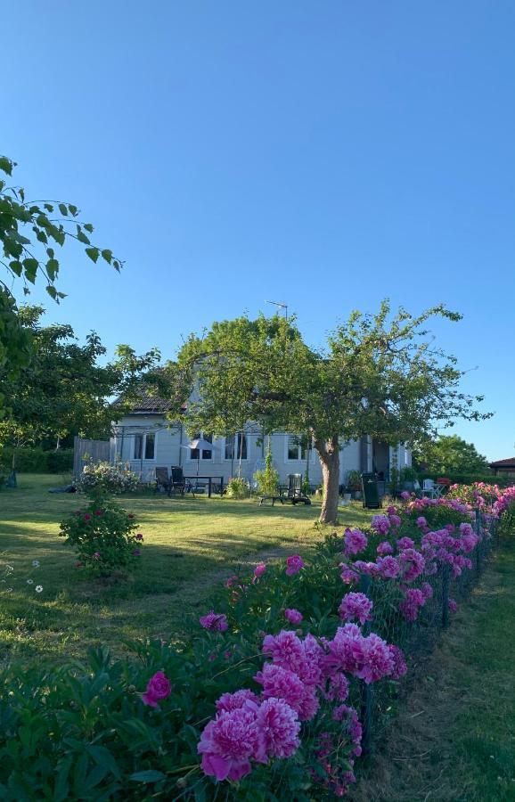 Villagatan Norrtälje Esterno foto